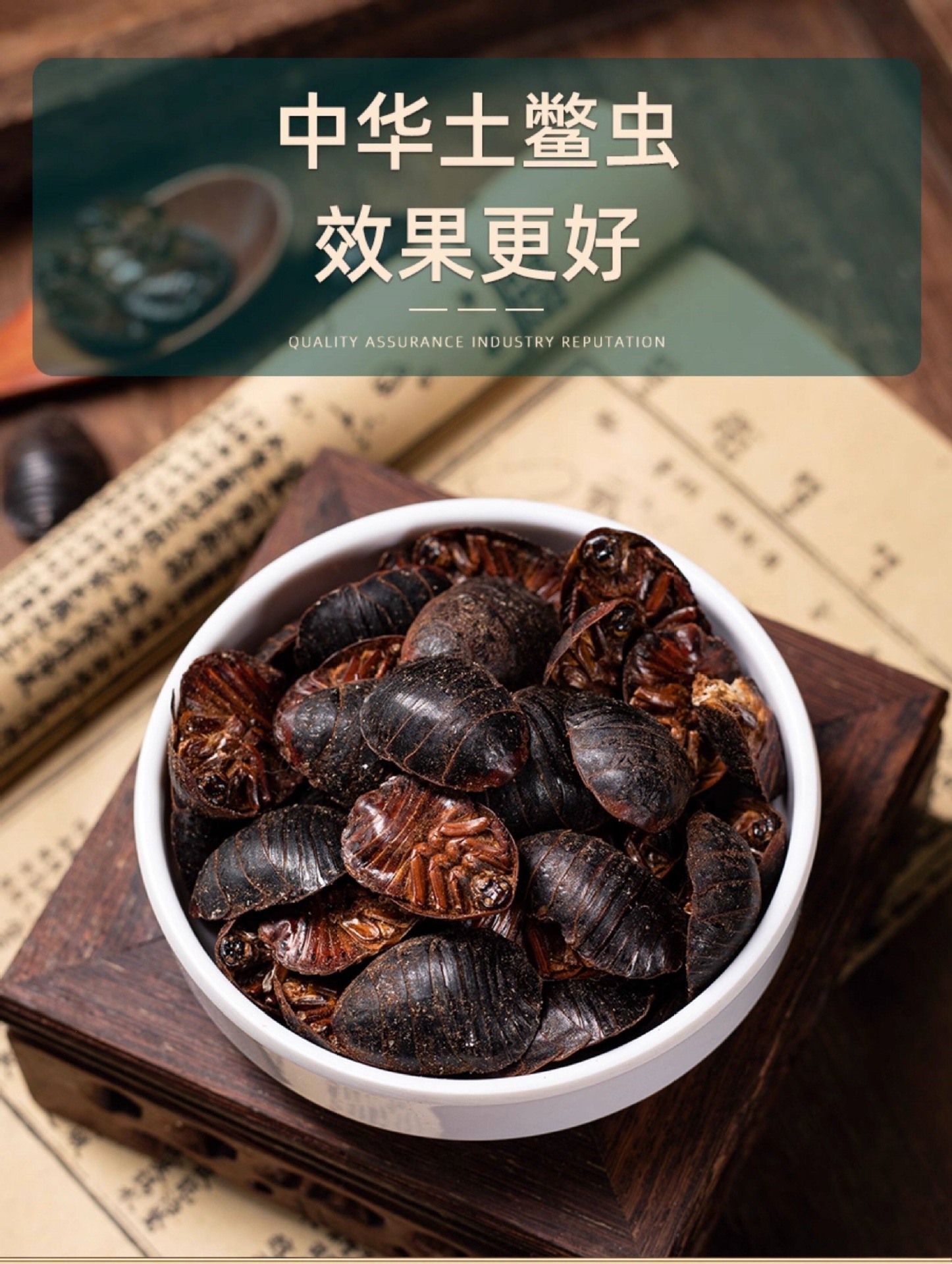 Dried Ground Beetle Tu Yuan 土元 Whole Insect Traditional Chinese Herb 250g key features