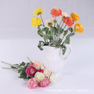 �߶���ĵ�����滨ֲ�q3�^¶ɏ�� �Ҿ��b[���ٻ�ֱ�����滨���l