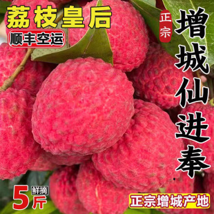 ���M����֦�������r�Fժ����ˮ���߶��ͶY��Ʒ�Ϳ͑�5����\���]
