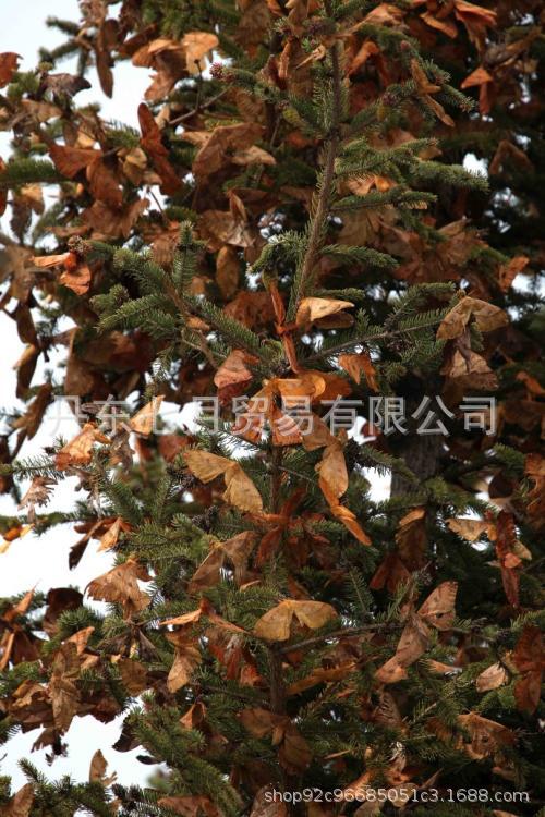 u=851157590,2159626242&fm=