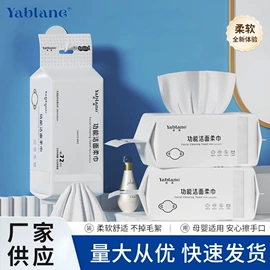 压缩毛巾;一次性洗脸巾;衣物清洁护理