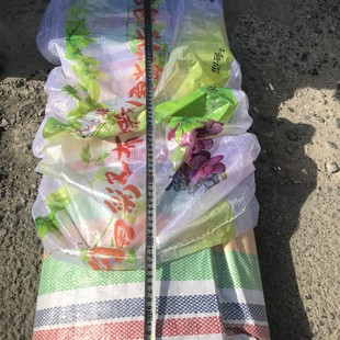 Urumqi wholesale polyethylene rain-proof tarpaulin various sizes color stripe cloth crystal green tarpaulin South Korean cloth direct sales