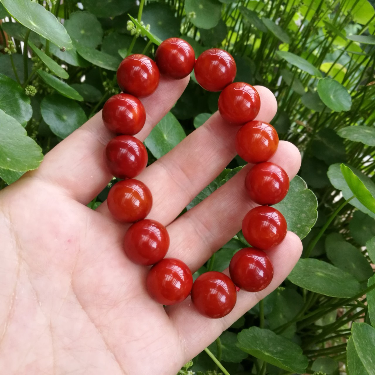 新款宣化上谷战国红玛瑙同料圆珠手串男士手链本命年玛瑙手链15.8