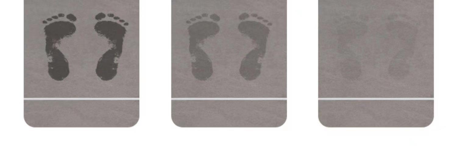 Non-slip Quick-drying Carpet Diatom Mud Foot Mat Toilet Toilet Door Toilet Bathroom Mat_voghion.com