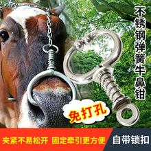 ţ�ǭh���P�ţ���Q����ţ��Ȧ���נ���ţ�ǭh��˨ţţ�ǊA