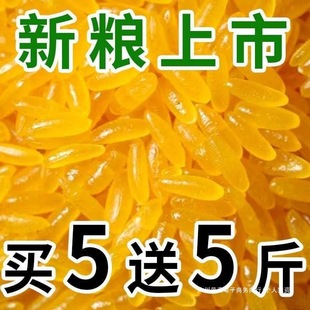 ���ږ|���S�������������S����װ�H����s�Z�خa�Sɫ�Ĵ������l