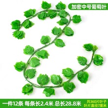 �羳���R�d���������~�ٗl��픾G���~��ˮ���b����ϼٻ�����ֲ��