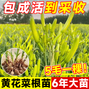ʳ���S���˸��S���˷N�������ᘲ˶�����ͥԺ�N���ڰl���ɻ�