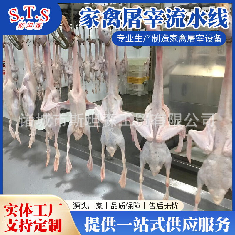 H家禽宰杀烫毛脱毛用家禽屠宰设备 鸡鸭宰杀设备价格 家禽宰杀线