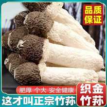 �������p��؛2024������؛�ؼ���Ұ���oȹ���Ϲ���Ş����O���F��