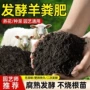 盆栽发酵果树月季肥料