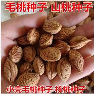 ë�ҷN��ë�Ҙ�N��ë�Һ˷N���Ҙ�N�ӿ����޽�ë�ҹ���N��