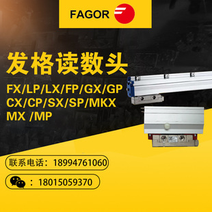 �����l���ų��x���^FX/LP/LX/FP/GX/GP/CX/CP�x���^�Ⱦ����N��