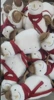 Jesse Snowman