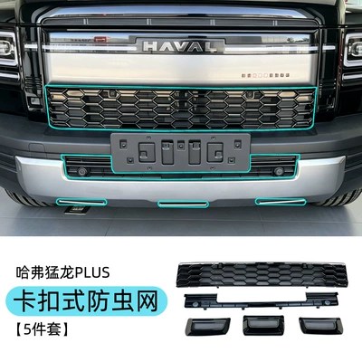 Haval Raptor Plus 26 Model Automobile anti-insect net - haval-raptor-plus-insect-net-matte-black-complete-set-5-pieces