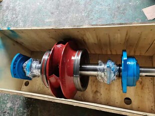 �PȪKQSN�p��������D��