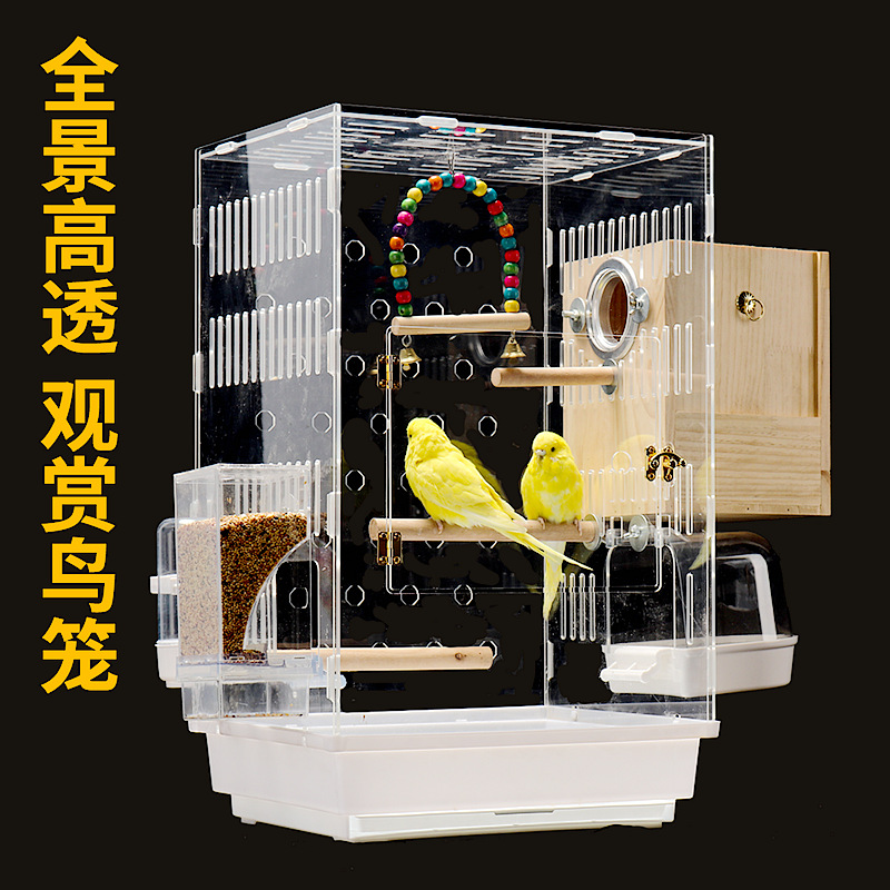 新款透明鹦鹉鸟笼全景亚克力笼具防溅观赏别墅家用鸟笼展示笼批发