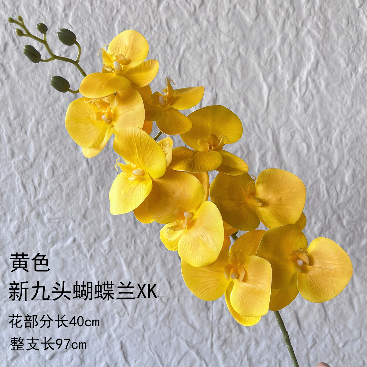 새로운 나인헤드 호접란 XK-옐로우