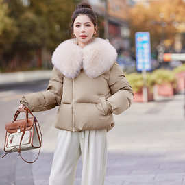 短版羽绒衣女2024冬季新款韩系大毛领设计感超好看白鸭绒面包服
