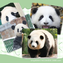 国宝熊猫鼠标垫花花福宝周边小号办公室键盘垫桌垫可爱锁边游戏垫