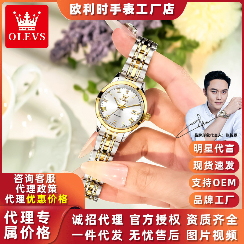 Dropshipping Oulishi Brand Mechanical Women's Watch Waterproof Luminous Women's Watch Movement Fully Automatic Mechanical Watch