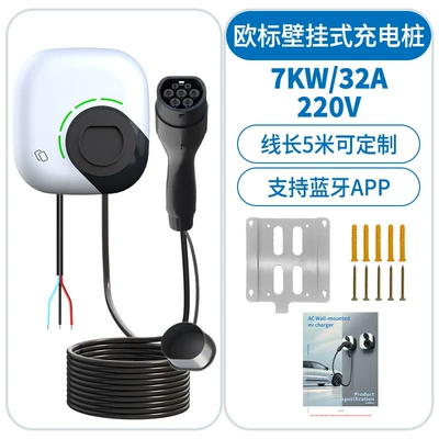 European Standard New Energy Vehicle Charging Pile 22Kw Household Type2 Ac 32A Car Charging Portable Charging Gun Cross-Border (Elektrikli avtomobil şarj stansiyaları) - european-standard-gun-head-7kw32a