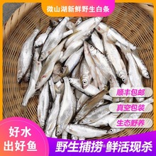 ���rС�חl�~���~�F��������ը��ˮС���~�r���s�~�N�����ò͗l�~