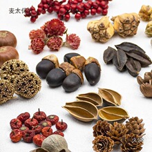 �ɹ��ɹ�����N�Ә˱��b�ֲ������ֹ��ɻ�diy�����׃��@��̫��