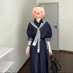 初秋搭配一整套大码长袖牛仔外套阔腿裤子韩系高级独特套装女2025