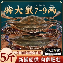 ����з�ش�Ұ����ɽ���з�����䶳��з����ˮ����з��з��з˳��