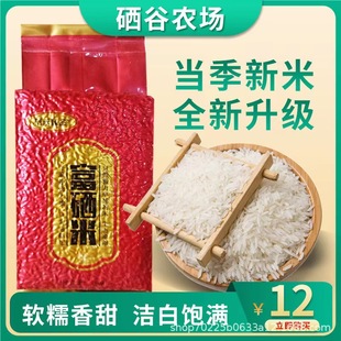 ���������L������2���b ��հ��b�����׬Fĥ�F�lԭ�a��