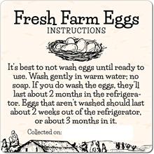 跨境优质新鲜农场鸡蛋处理说明附件护理标签贴纸鸡蛋纸箱盒子专用