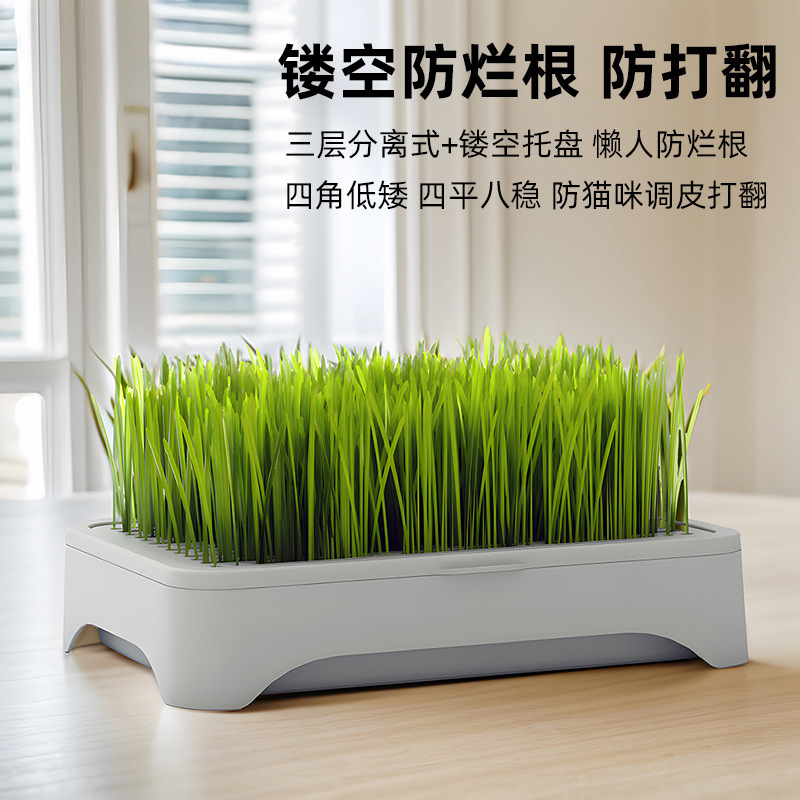 Cat Snacks Cat Hydroponics Set Hydroponics Box Cat Mint Cat Self-Grown Hair Removal Hair Removal Ball Cat Supplies Wholesale