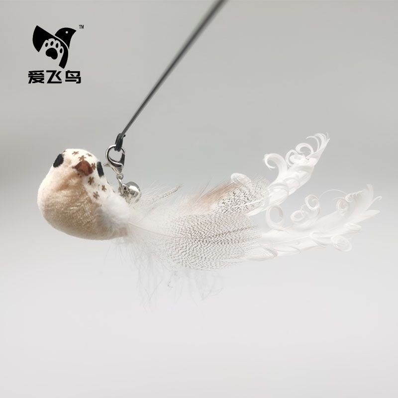 히비스커스 새 교체 머리