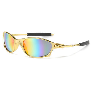 Fashionable sunglasses, travel glasses, European style, UV protection