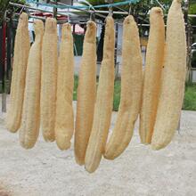 �z��ȿ�ִ�̖��Ȼ�Ͻz�Ͻjϴ�벼��������ٽz��ˢ偽z���ҽz�¿�