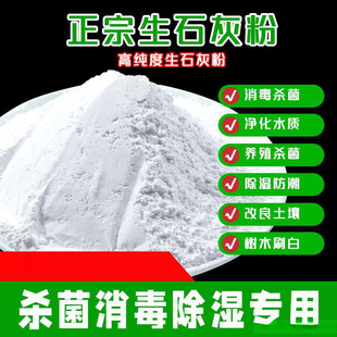 Dry Lime Powder for Disinfection, Dehumidification, Moisture-Proof, Mildew-Proof, Water Absorption, Insect Repellent, Water Purification, Deodorization, Tree Brushing, and Soil Purification
