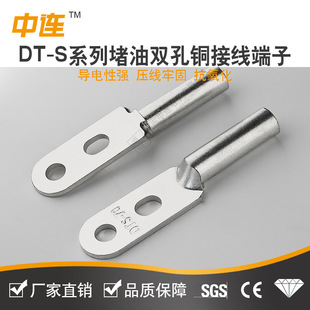 Zhonglian Straight Hair Dt-S Tinned Double-Hole Copper Nose for Cable Connection Dt-S Double-Hole Copper Nose Wholesale Grade a