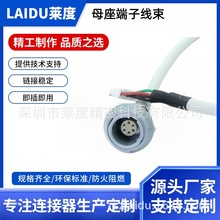 ���S���Ƽ���lemo����1P2-14оĸ�����O�o�x�O�侀�|ĸ�^���Ӿ���