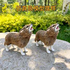 仿真狼模型摆件真皮毛工艺品家居装饰摄影道具教学展览模型狼模型
