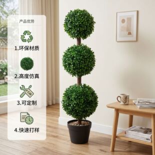 �羳�������Gֲ���������S��ľ�辰��޹�²��������ֲ��ͥԺ��
