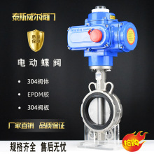 С늄ӲP䓌Ay D971X-16P 304PywCF8 EPDMy