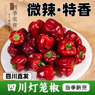 ���\��������500g�Ĵ���������΢���������üt�A��؛���\����