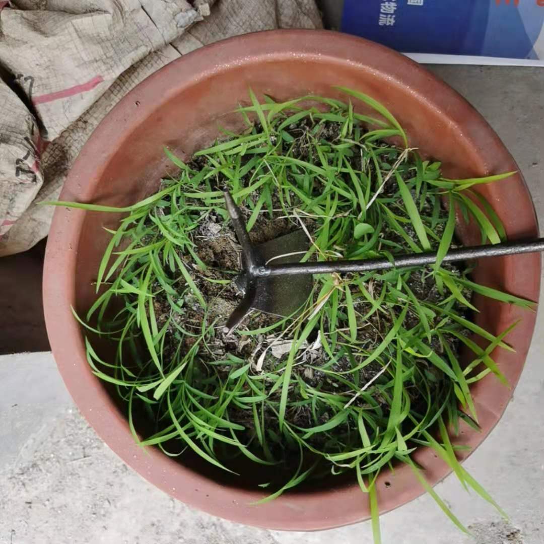 微信图片_20210807110308