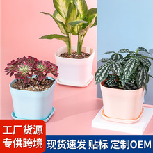 �¿���⻨���ˮ�P�Ӻ����ϵ��з����бPС̖�F؛���l����