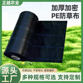 农用防草布 园艺果园透气防草布大棚透气渗水黑色防草布