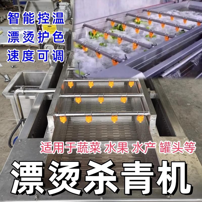 去桑芽菜漂预煮固色烫机蔬菜农残叶菜清洗杀青水果净化清洗垒德株