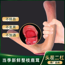 新鲜鹿茸吉林鹿茸段整支鹿茸煲汤泡酒鹿茸段片产地批发鲜鹿茸