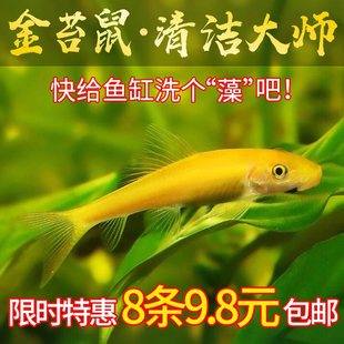 ��̦��Ꭷ�^�p�~��������~�~�׳����~�坍�~���w�����~�������~