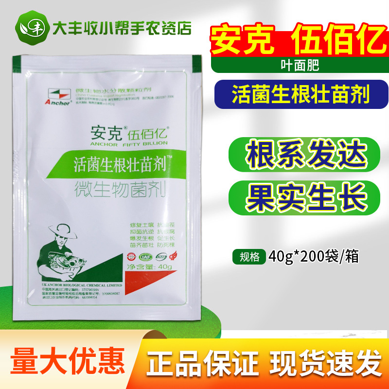 英国安克活菌生根剂 强力壮苗剂 快速扎根扦插喷施叶面肥40克